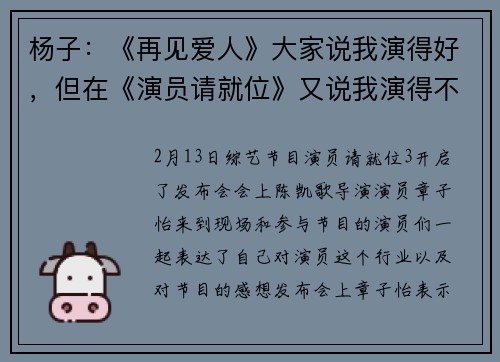 杨子：《再见爱人》大家说我演得好，但在《演员请就位》又说我演得不好