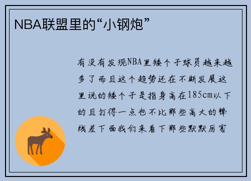 NBA联盟里的“小钢炮”