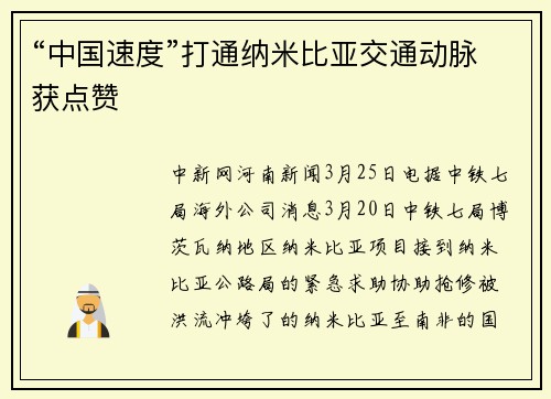 “中国速度”打通纳米比亚交通动脉获点赞